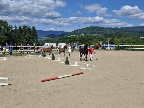 fae75d44-3c93-49a9-a737-388bf72e1b19